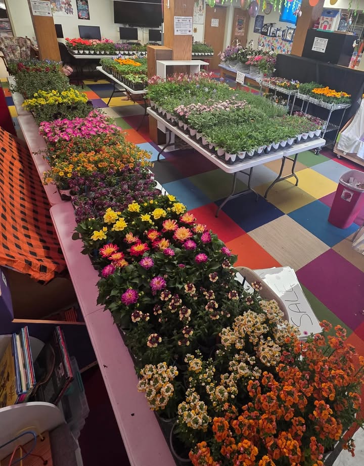 Lyndon Carnegie Library