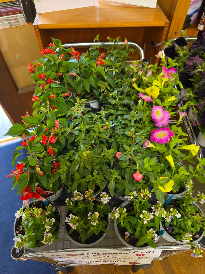 Lyndon Carnegie Library